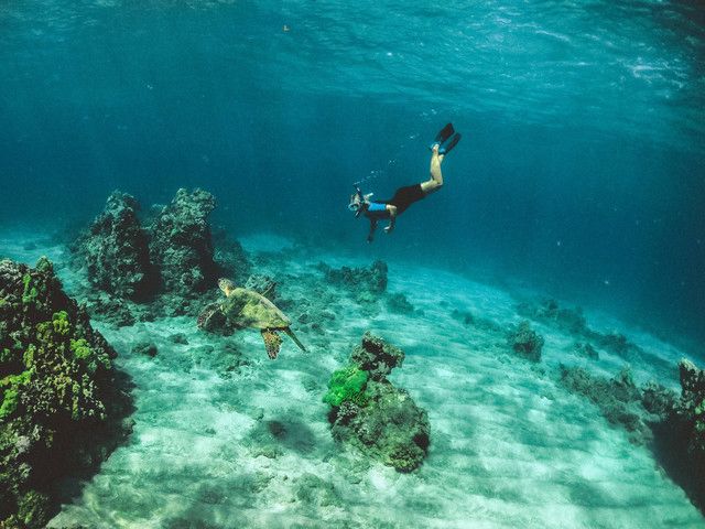 Spot Snorkeling