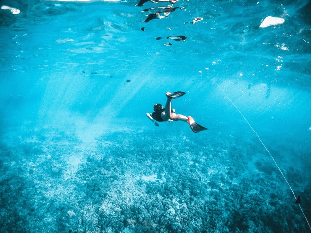 Spot Snorkeling 1