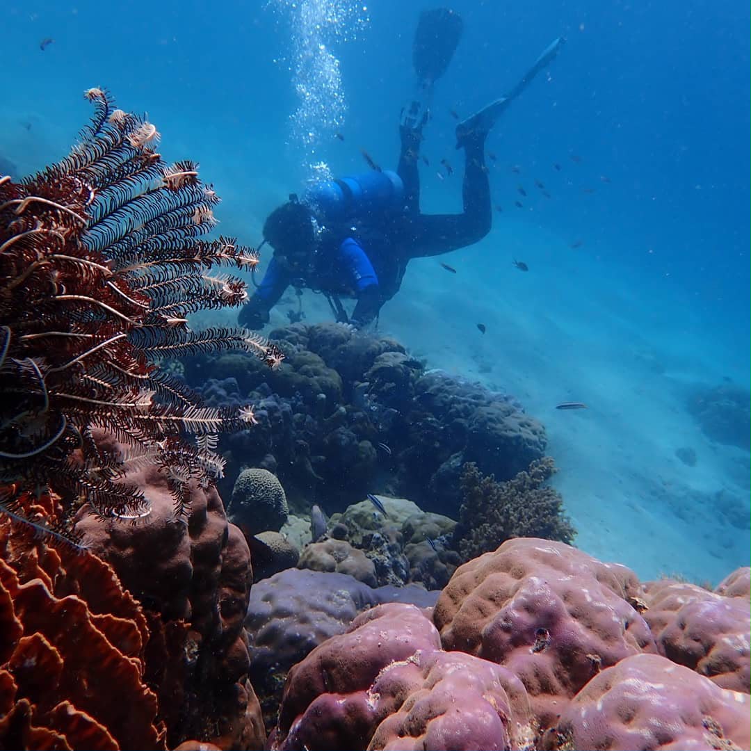 Spot Snorkeling 3