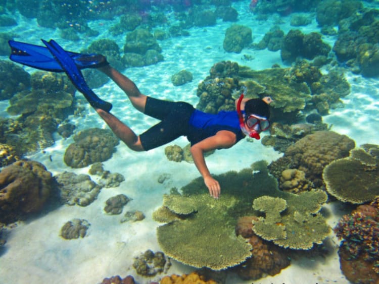 Spot Snorkeling 4
