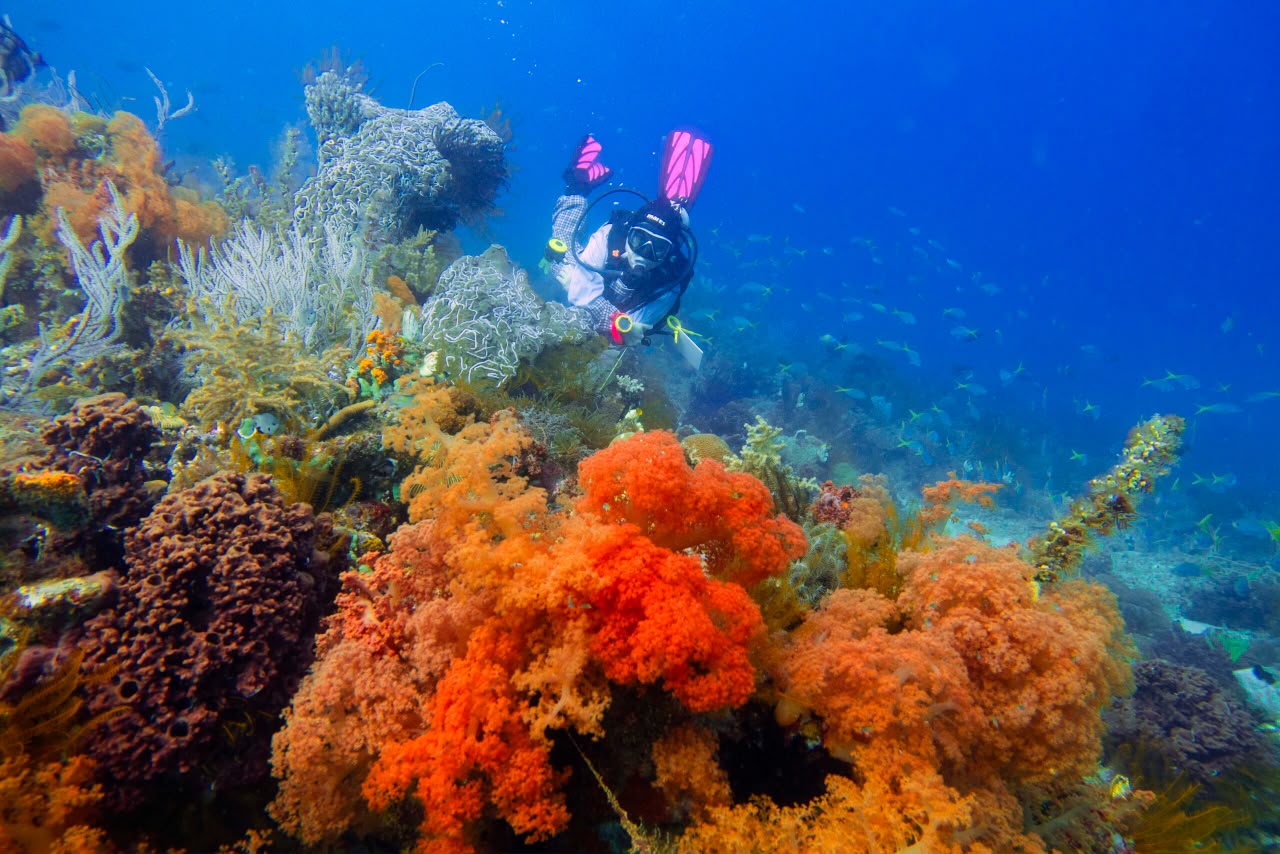 Spot Snorkeling 5