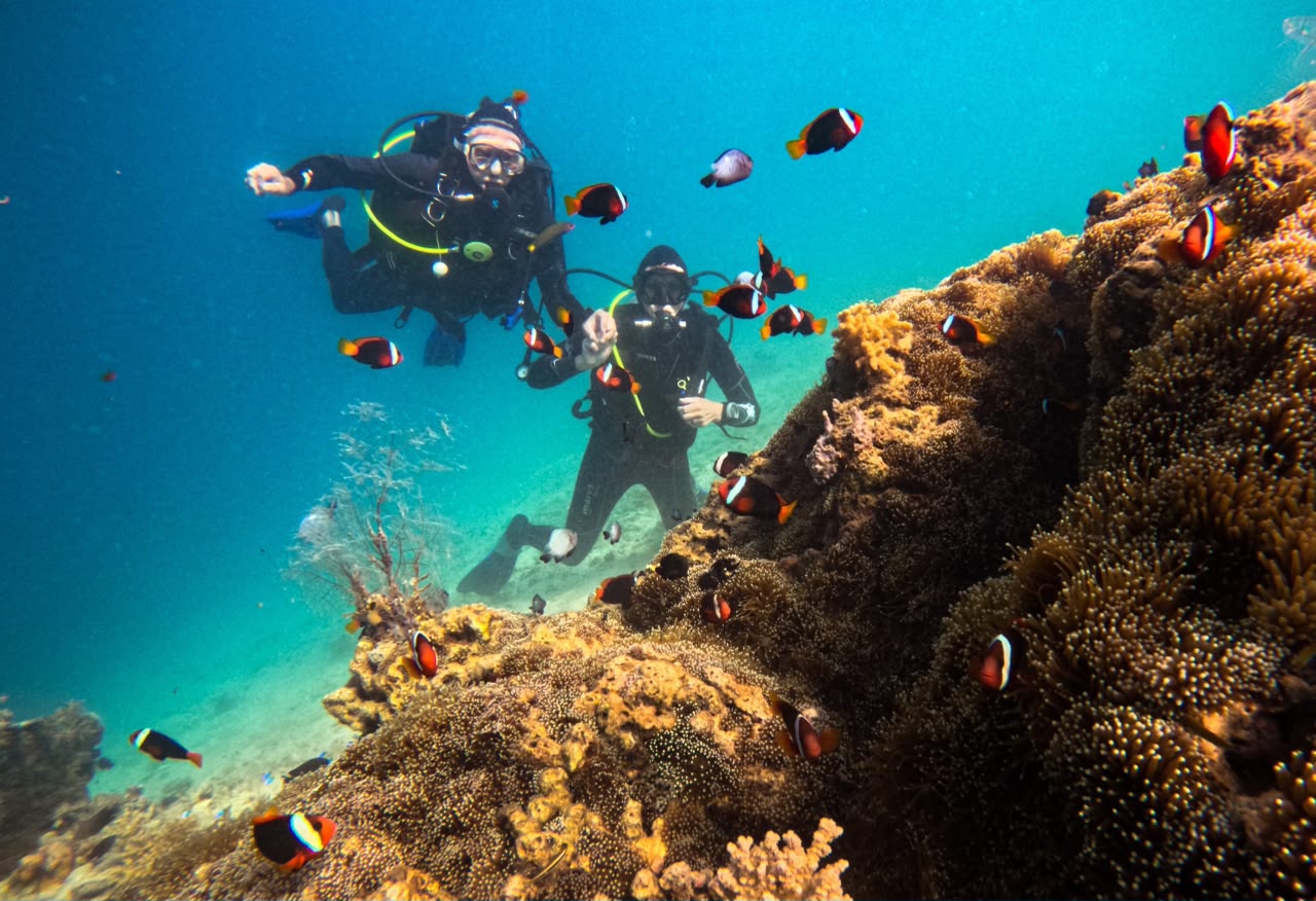 Spot Snorkeling 6